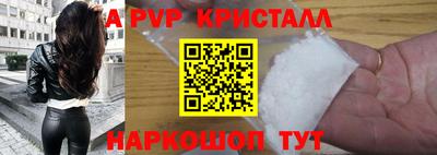 СК Кингисепп