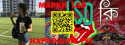 СК Кингисепп
