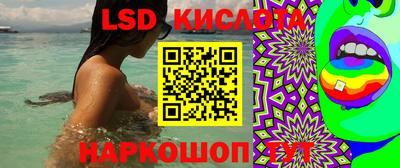 сатива Кимры