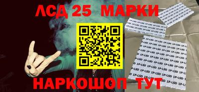 СК Кингисепп