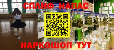 СК Кингисепп