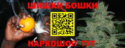 СК Кингисепп