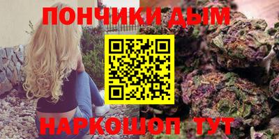 сатива Кимры