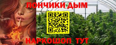 сатива Кимры