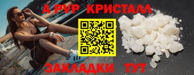 СК Кингисепп