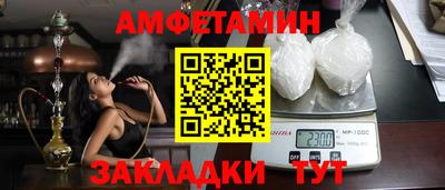 СК Кингисепп