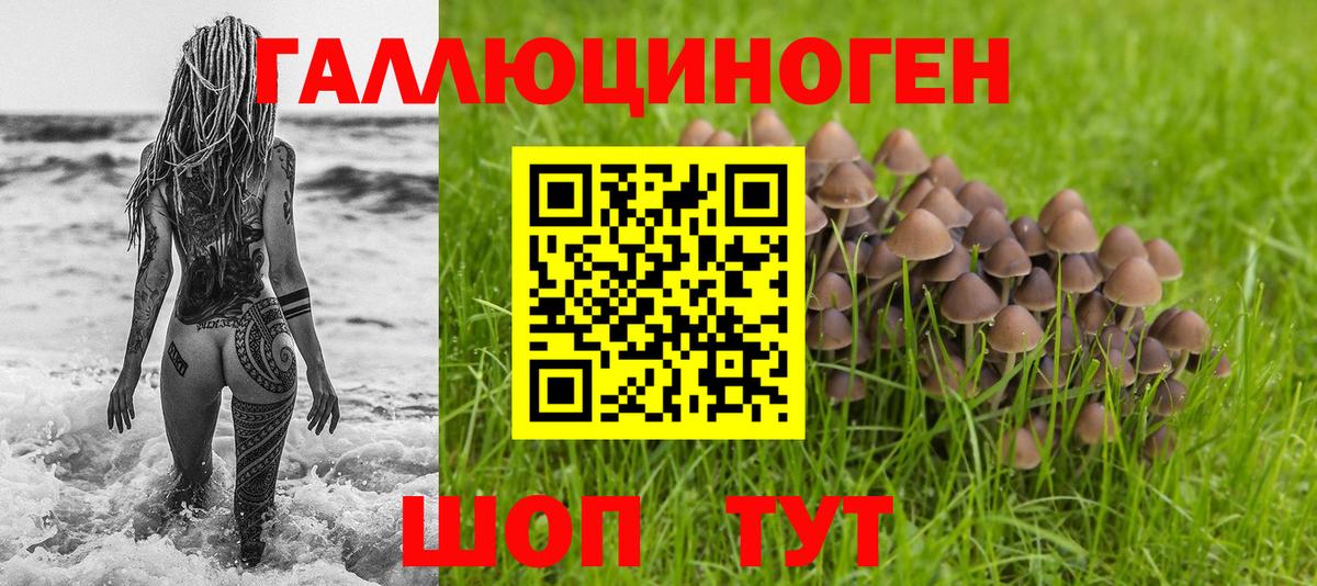 Галлюциногенные грибы Psilocybe  Вход с VPN  Крымск 
